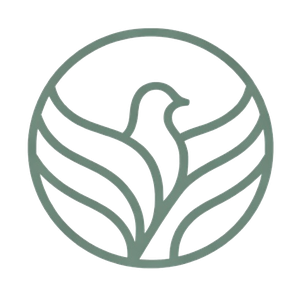 Logo de Tahora, centro de psicología